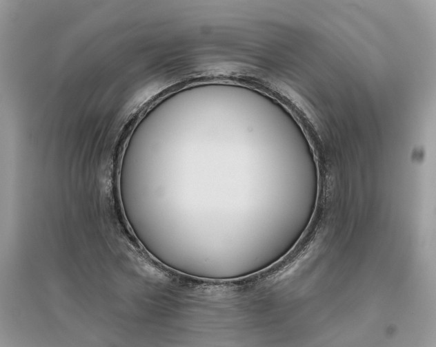 X0000096170778200802011317