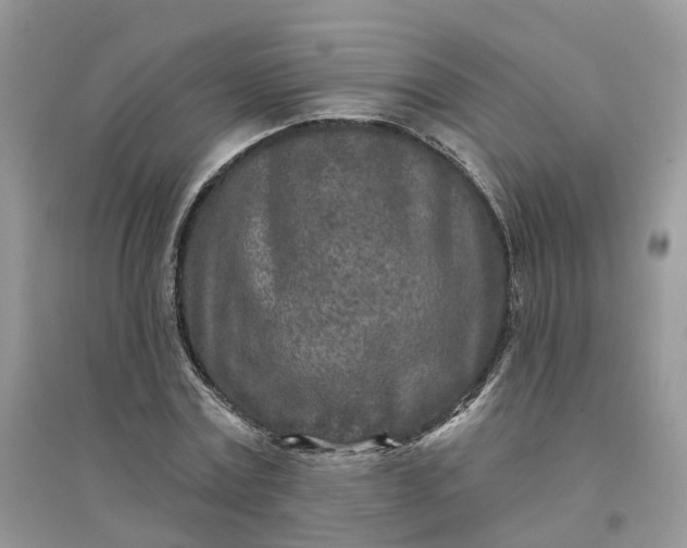 X0000096170779200802011317