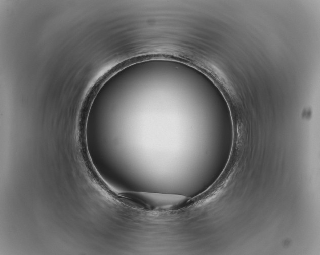 X0000096170780200802011317