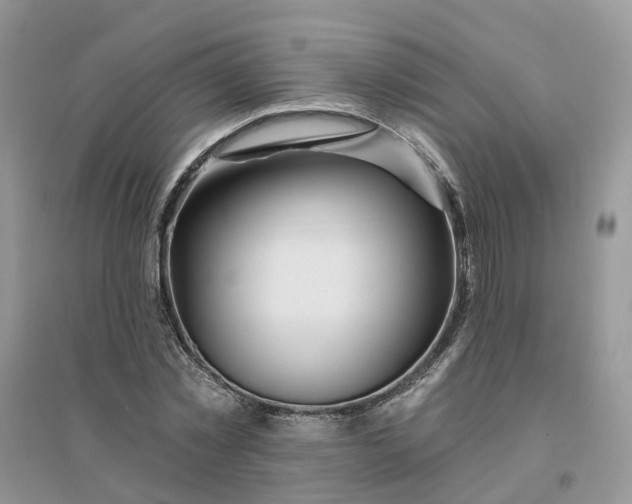 X0000096170781200802011317