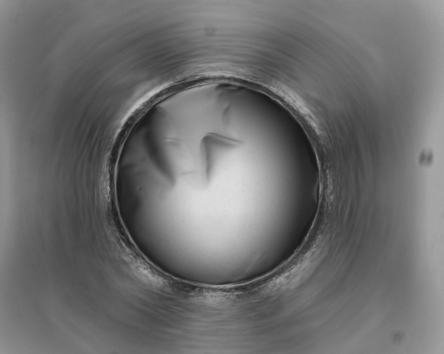 X0000096170782200802011317