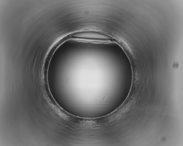 X0000096170784200802011317