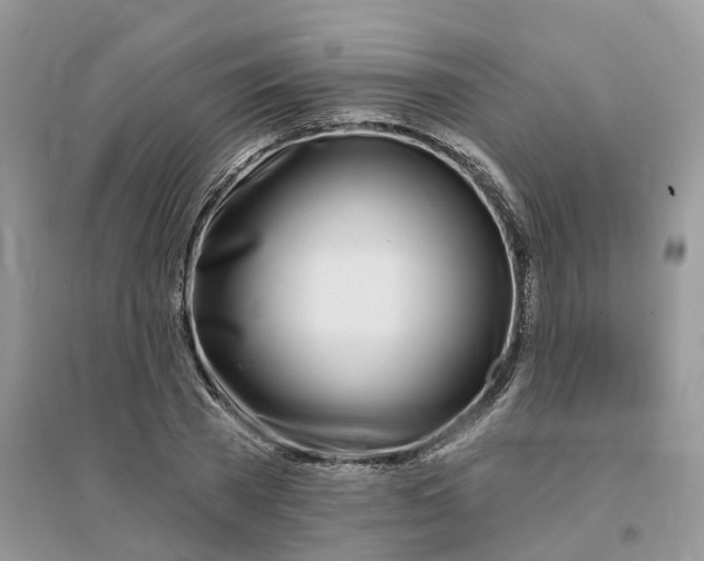 X0000096170785200802011317