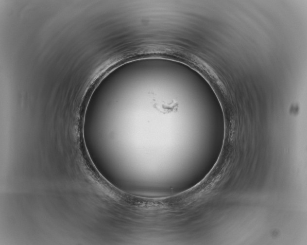 X0000096170786200802011317