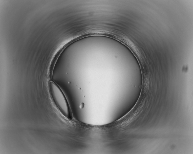 X0000096170787200802011317