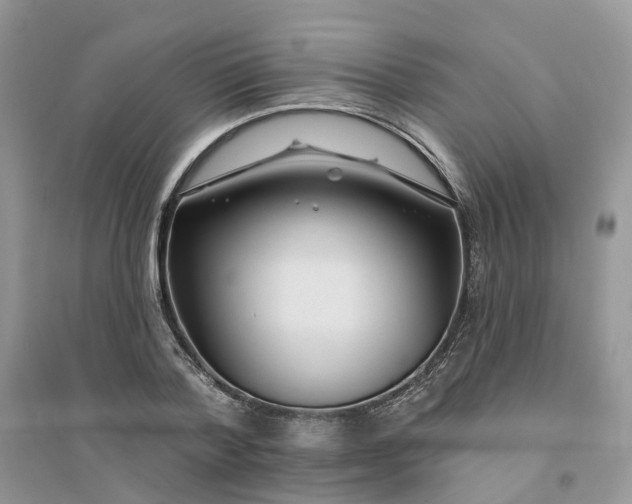 X0000096170788200802011317