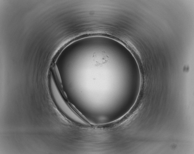 X0000096170789200802011317