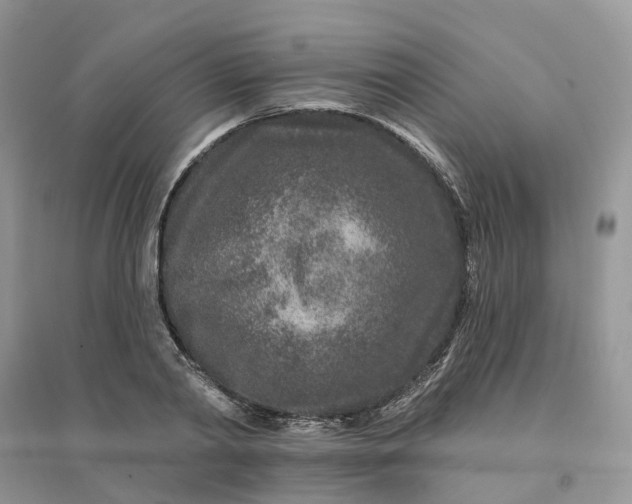 X0000096170790200802011317