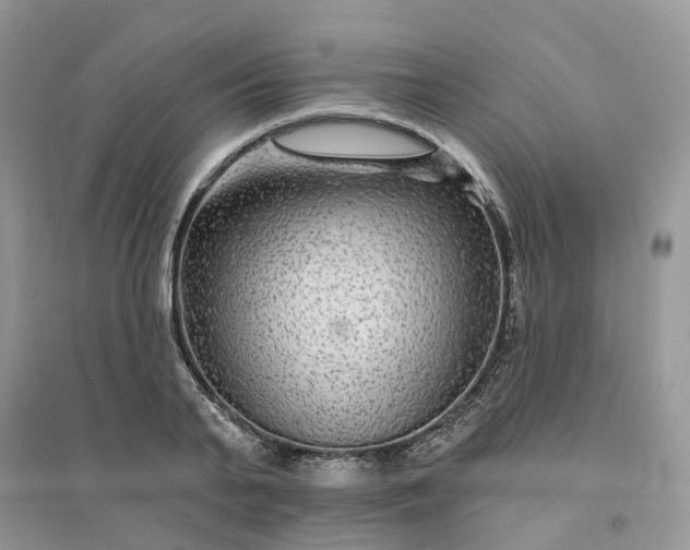 X0000096170791200802011317