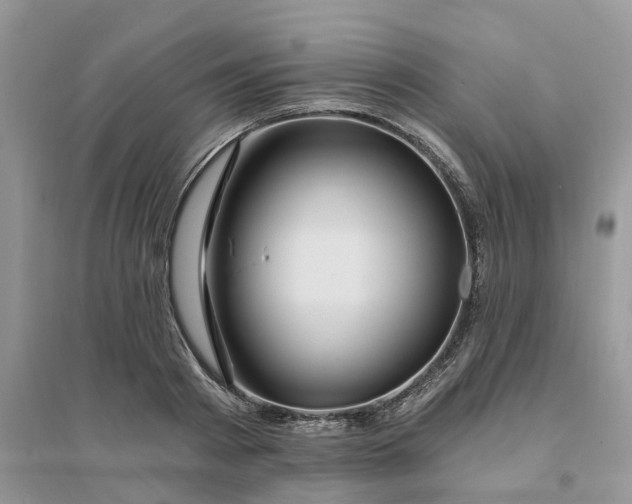 X0000096170793200802011317