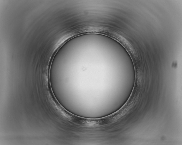 X0000096170794200802011317