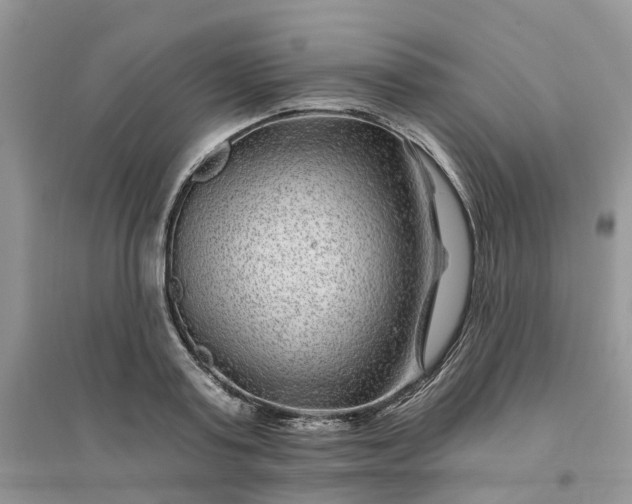 X0000096170795200802011317