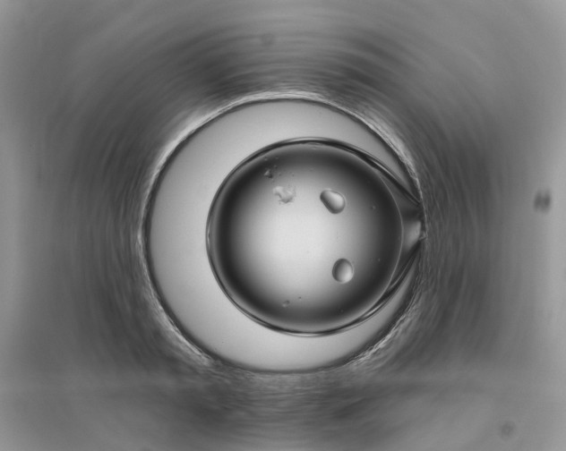 X0000096170797200802011317