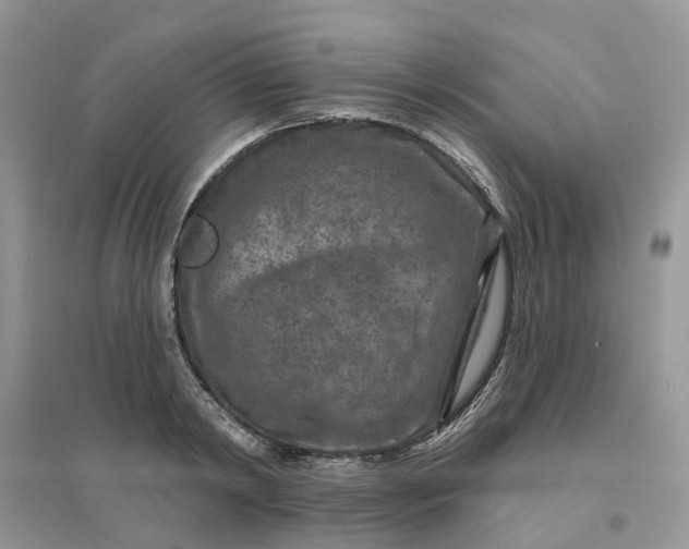 X0000096170798200802011317