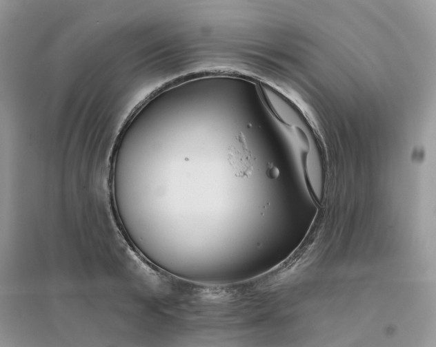 X0000096170799200802011317