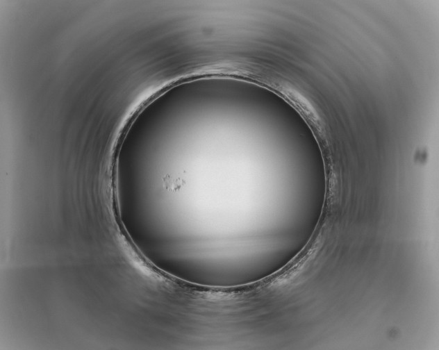 X0000096170800200802011317