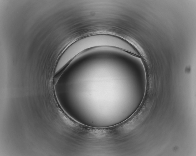 X0000096170801200802011317