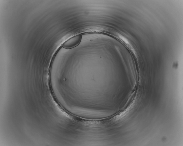 X0000096170802200802011317