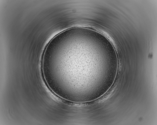 X0000096170803200802011317