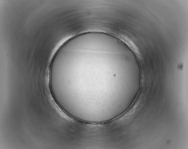 X0000096170804200802011317