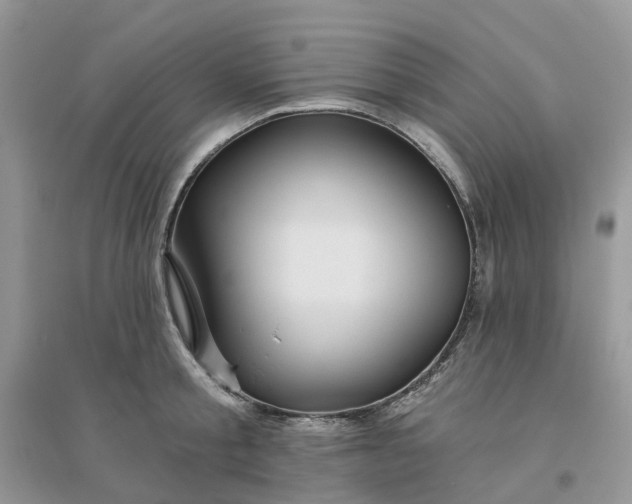 X0000096170805200802011317