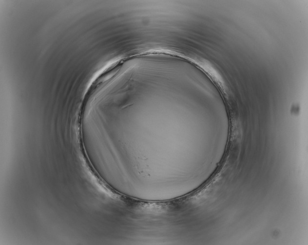 X0000096170806200802011317