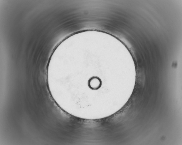 X0000096170807200802011317