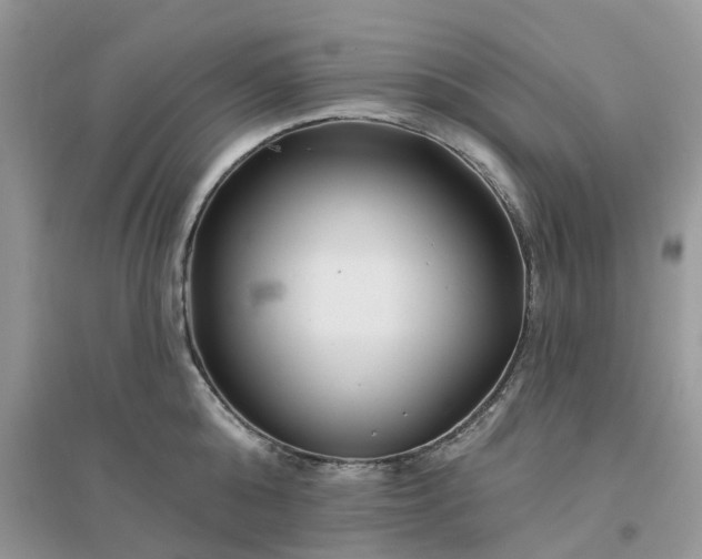 X0000096170808200802011317