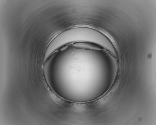 X0000096170809200802011317