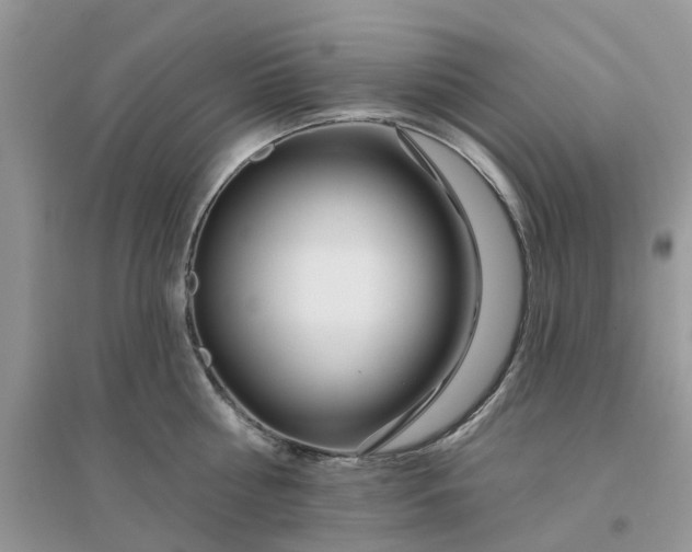 X0000096170810200802011317