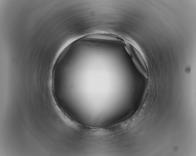 X0000096170811200802011317