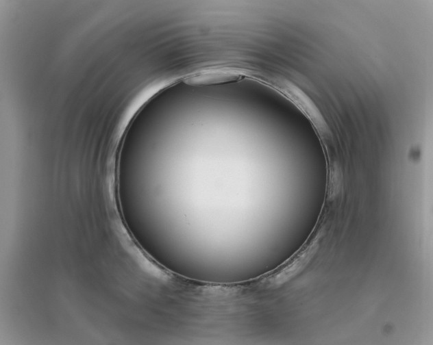 X0000096170812200802011317