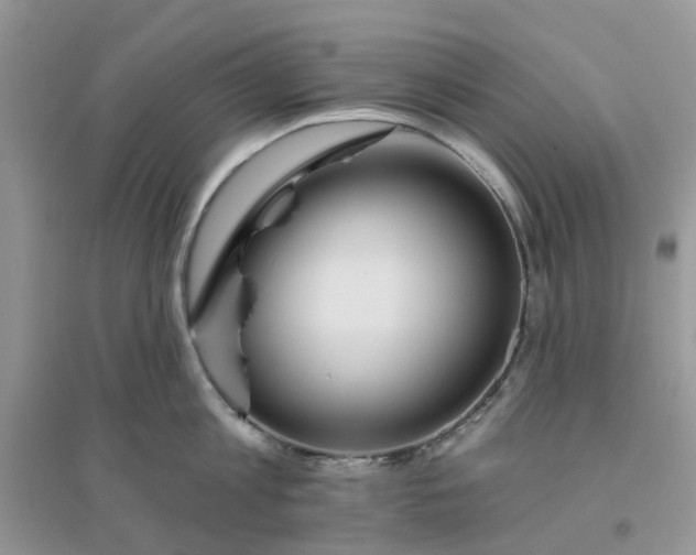 X0000096170813200802011317