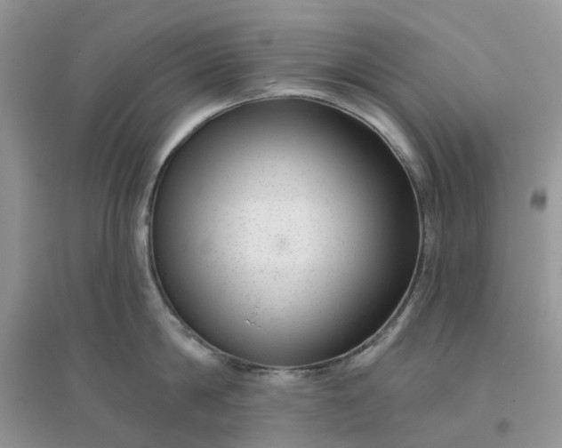 X0000096170814200802011317