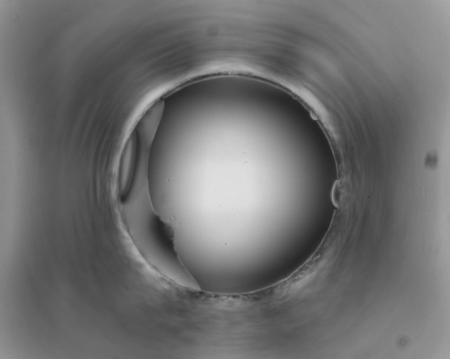 X0000096170815200802011317