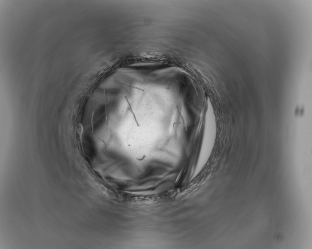 X0000096170817200802011316