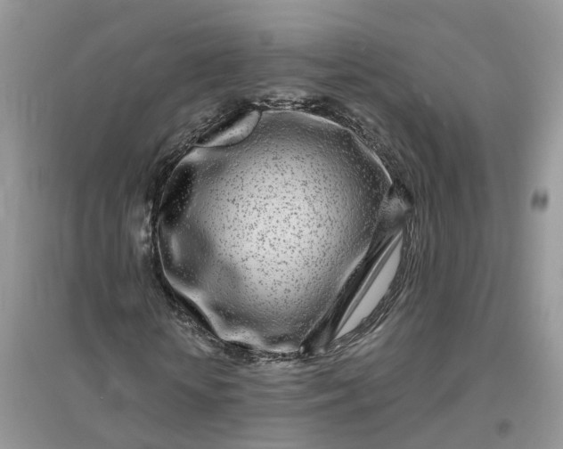 X0000096170818200802011316