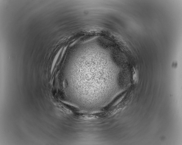 X0000096170819200802011316