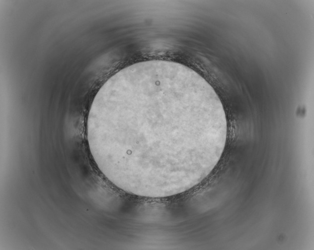 X0000096170820200802011316