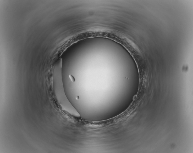 X0000096170821200802011316