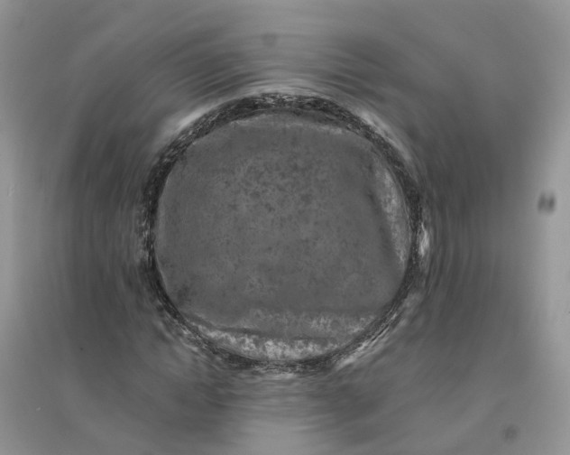 X0000096170822200802011316