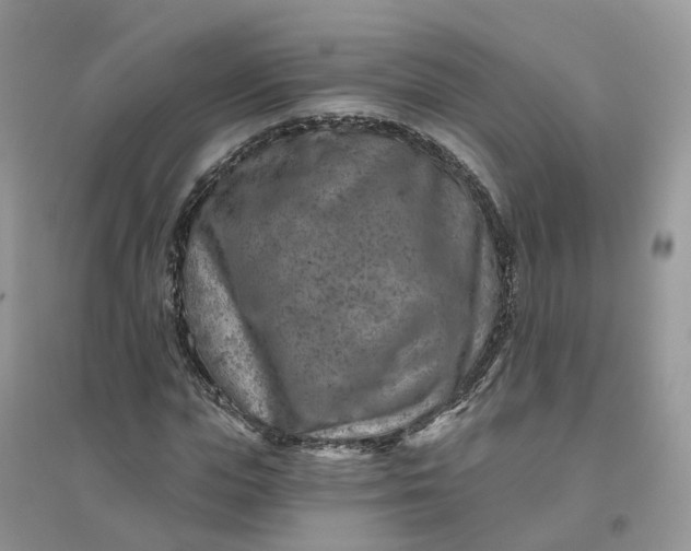 X0000096170823200802011316