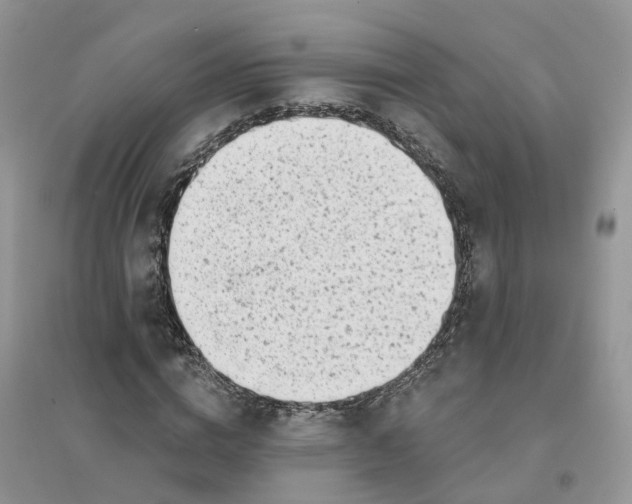 X0000096170824200802011316