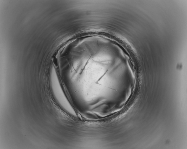 X0000096170825200802011316