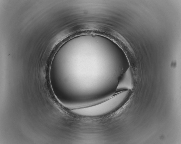 X0000096170826200802011316