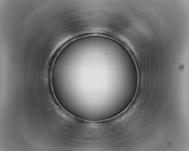 X0000096170827200802011316