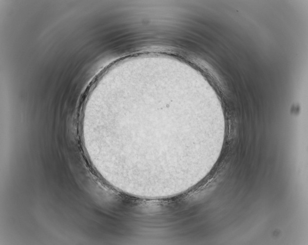 X0000096170828200802011316