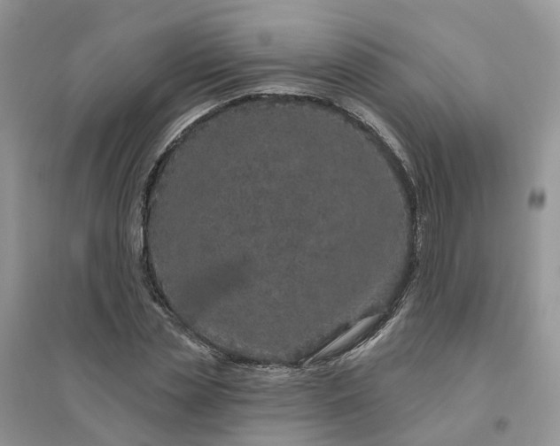 X0000096170829200802011316