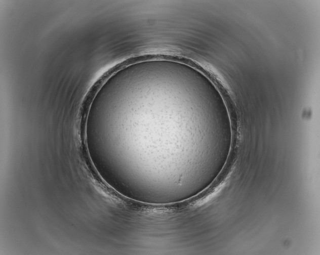 X0000096170830200802011316