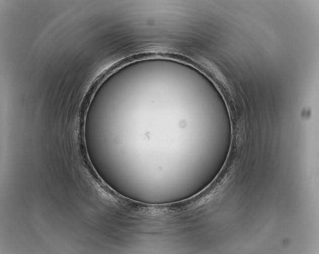 X0000096170831200802011316